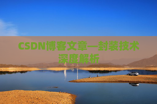 CSDN博客文章—封装技术深度解析
